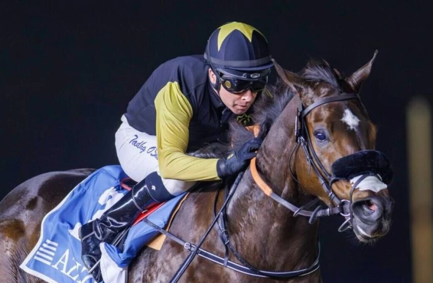 Кульминация скакового сезона в ОАЭ. Где и во сколько смотреть Dubai World Cup Кульминация скакового сезона в ОАЭ. Где и во сколько смотреть Dubai World Cup