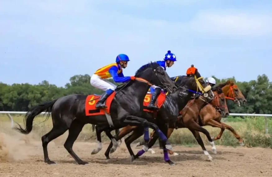 Jockey Club төреші-гандикапері Қазақстандағы ат жарысына арналған инфрақұрылым туралы айтты Jockey Club төреші-гандикапері Қазақстандағы ат жарысына арналған инфрақұрылым туралы айтты
