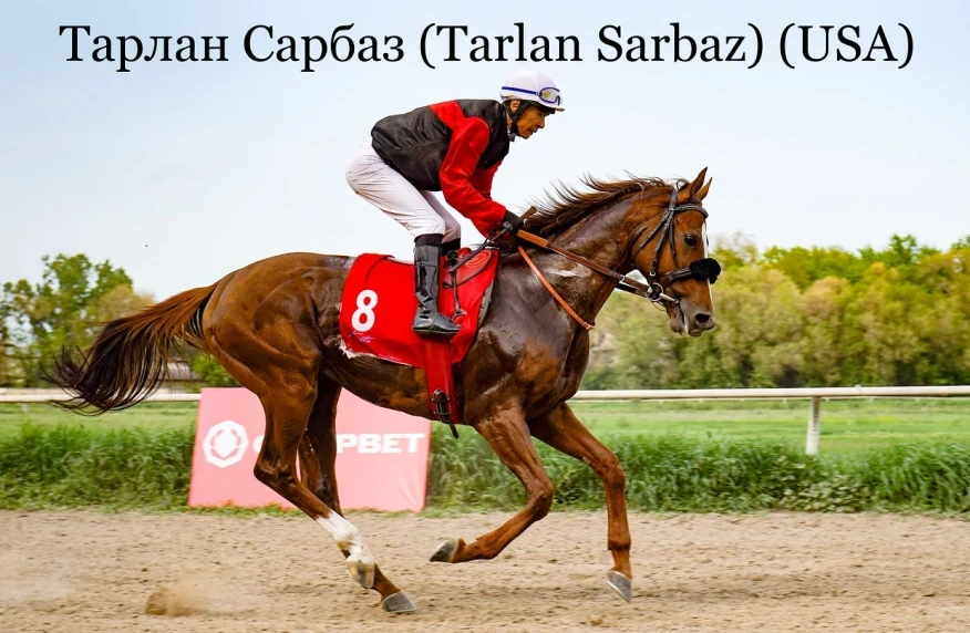 Тарлан Сарбаз – Қазақстандық дербиінің жеңімпазы (видео) Тарлан Сарбаз – Қазақстандық дербиінің жеңімпазы (видео)