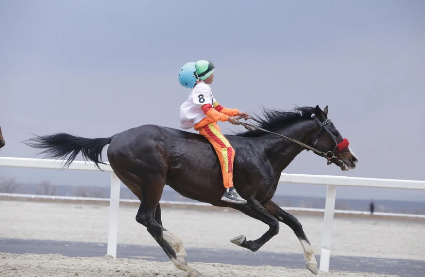 Результаты 4 этапа Чемпионата Казахстана по Байге OLIMPBET Результаты 4 этапа Чемпионата Казахстана по Байге OLIMPBET