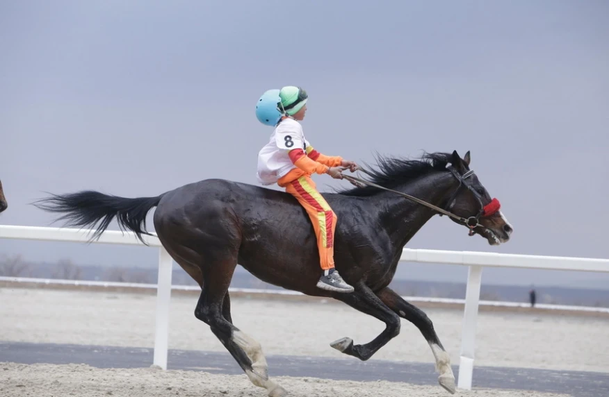 Бәйге жарысы бойынша OLIMPBET Қазақстан чемпионатының 4-кезеңінің нәтижелері Бәйге жарысы бойынша OLIMPBET Қазақстан чемпионатының 4-кезеңінің нәтижелері