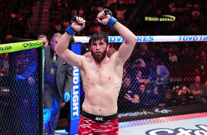 Анкалаев - новый чемпион UFC Анкалаев - новый чемпион UFC