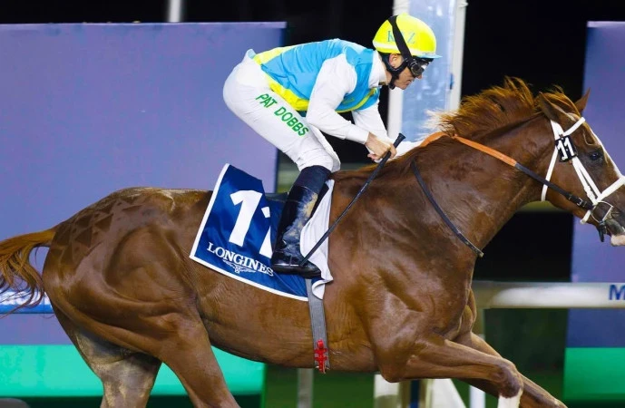Кабирхан Қазақстанда ат спортының дамуына үлкен серпін берді: Jockey Club өкілі елдегі спорттың дамуы туралы Кабирхан Қазақстанда ат спортының дамуына үлкен серпін берді: Jockey Club өкілі елдегі спорттың дамуы туралы