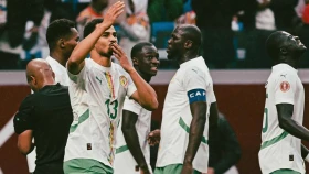 Сенегал вышел в полуфинал Кубка Африки (видео)