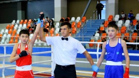 Алматы облысында бокстан Амангелді Бектасовты еске алуға арналған турнир өтті