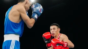 Определились все финалисты Чемпионата Казахстана по боксу