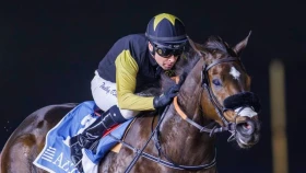 Кульминация скакового сезона в ОАЭ. Где и во сколько смотреть Dubai World Cup