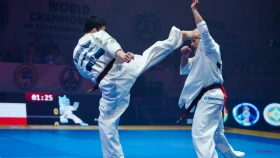 Каратэден Қазақстан чемпионатының нәтижелері (видео)