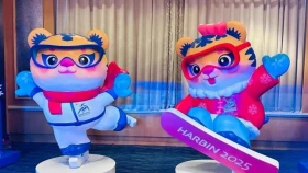 Сколько стоят билеты на зимние Азиатские игры в Харбине