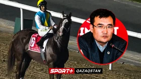 Талгат Жайсанбаев: Кабирхану всего 4 года, его психика не полностью сформирована. Породистые лошади, как профессиональные спортсмены