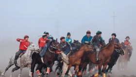 Ұлттық спорт қауымдастығы тағы бір федерациямен толықты