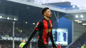 Два гола в первом тайме решили судьбу матча «Эвертон» - «Борнмут» (видео)