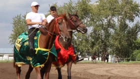 V Дүниежүзілік көшпенділер ойындарына СҚО-дан екі сәйгүлік қосылады