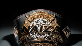 Два бойца NAIZA могут попасть в UFC