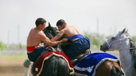 Аударыспақ мықтылары 4 алтынға уәде берді