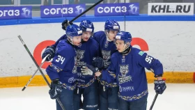 «Снежные Барсы» дали бой «Толпару»