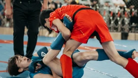 Стартовал Чемпионат Казахстана по ММА