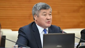 Дәулет Тұрлыханов елімізде спорт саласында қандай кемшіліктер бар екенін айтты