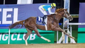 Қабирхан Дубайда өтетін жарысқа қатыспайтын болды: себебі анықталды