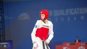 Таеквондодан тағы бір жолдама