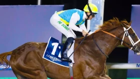 Кабирхан жеңіс жолына қайта оралуға тырысады. БАӘ-дегі ат жарысының тікелей эфирі