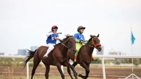 Елордада бәйгеден республикалық турнир өтеді