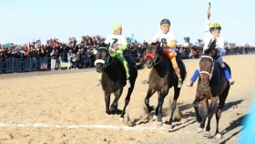 «Жұмыртұяқ» бәйгеден ел чемпионатына қатысады