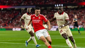 Лиссабонские орлы в погоне за лидером. Где смотреть «Жил Висенте» — «Бенфика»