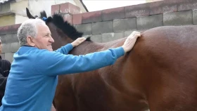 Қазақстандық шабандоздарды ирландиялық бапкер оқытып жатыр