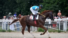 За казахстанского коня Кабирхана предлагали миллион долларов