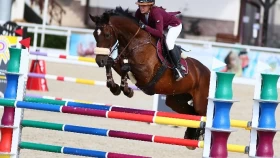 21 жастағы спортшы қыз жарыс кезінде аттан құлап, комаға түсті