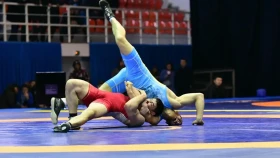 Әлем чемпионаты: грек-рим күресінен екі қазақстандық балуан күміс алды