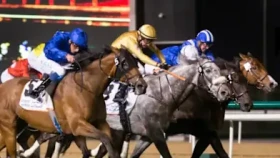 Скачки лучших скакунов со всего мира в Дубай. Где и во сколько смотреть прямой эфир из ОАЭ