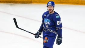 В «Барысе» высказались о возможном возвращении Шестакова