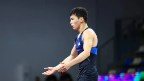 Казахстанцы выиграли две медали Чемпионата мира по греко-римской борьбе