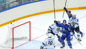 Новички «Барыса» принесли победу над «Сибирью»