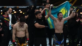 Стал известен сабмишн 2023 года по версии Naiza