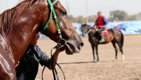 Астанада конкурдан қыздар арасында ашық біріншілік өтеді