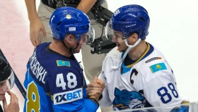 Дамир Жафяров ответил на вопрос о получении гражданства Казахстана