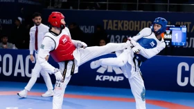 Шымкентте таеквондодан (WT) Қазақстан чемпиондарының есімдері анықталды