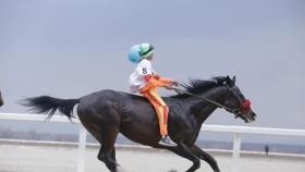 Бәйге жарысы бойынша OLIMPBET Қазақстан чемпионатының 4-кезеңінің нәтижелері