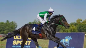 Большая Конная Выставка в Алматы! Где и во сколько смотреть классические скачки трансляцию из Алматы