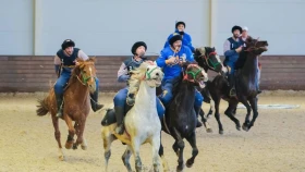 Астанада командалық көкпардан жарыс өтеді