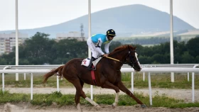 ВИДЕО: Жеребец Кабирхан выиграл еще одни скачки в Дубае