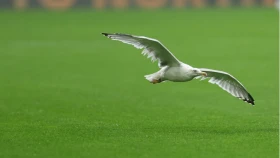 «Самсунспор» продолжает удивлять, пройден «Бешикташ» (видео)