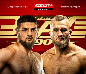 ММА. BRAVE 90