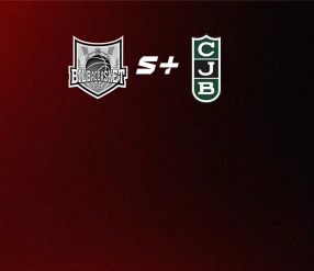 БАСКЕТБОЛ. АСВ ЛИГАСЫ. 18 ТУР. БИЛЬБАО – ХОВЕНТУТ