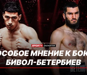 ОСОБОЕ МНЕНИЕ К БОЮ БИВОЛ - БЕТЕРБИЕВ