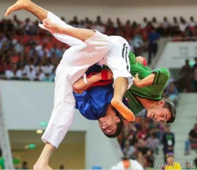 V ВСЕМИРНЫЕ ИГРЫ КОЧЕВНИКОВ. АЛЫШ-ФИНАЛ.