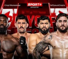 ММА. PFL ПЛЕЙ-ОФФ.